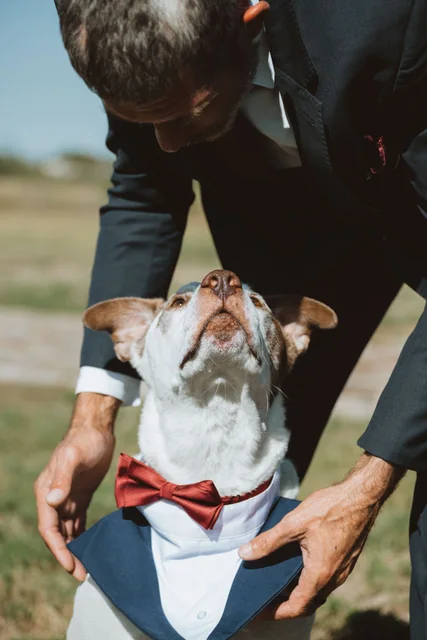 A dressed-up dog joins the wedding celebration